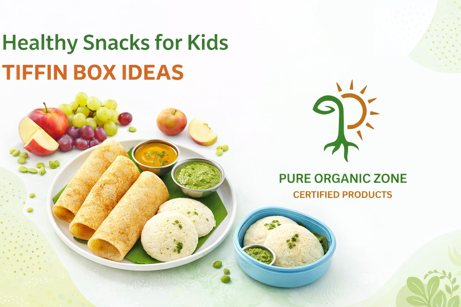 Healthy Snacks for Kids Tiffin Box Ideas